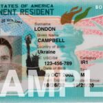 How to Apply for a Green Card: Tips and Advice 
