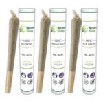 Looking into the rising popularity of THCA and HHC pre-rolls in modern wellness.