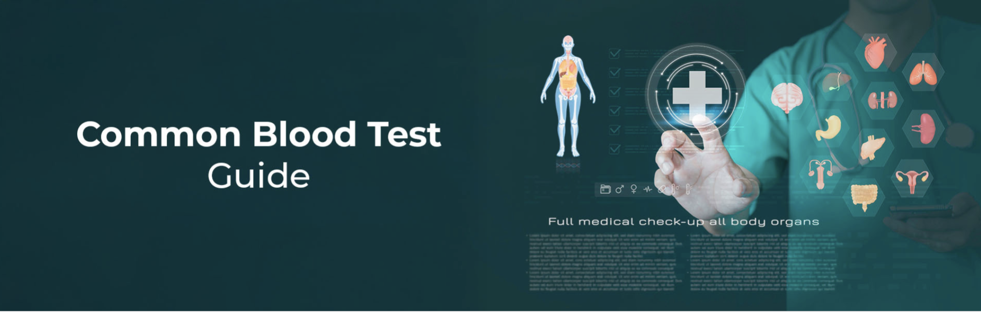 Common Blood Tests Explained: What Each Test Tells About Your Health
