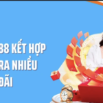 RR88 COM là gì? Khám phá đầy đủ nền tảng giải trí cực hot