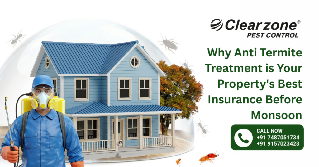 Anti-Termite Treatment for Homes: When Is It Needed and How Does It Work?