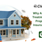 Anti-Termite Treatment for Homes: When Is It Needed and How Does It Work?