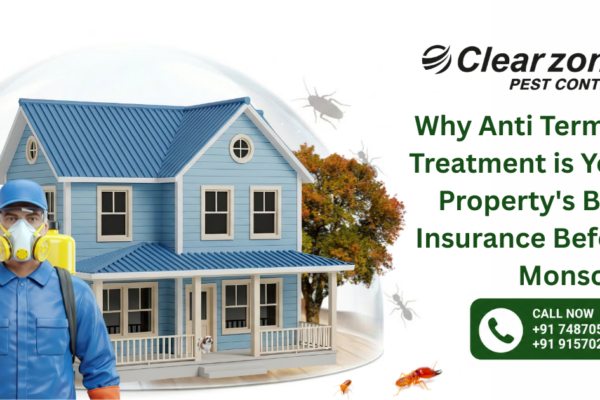 Anti-Termite Treatment for Homes: When Is It Needed and How Does It Work?